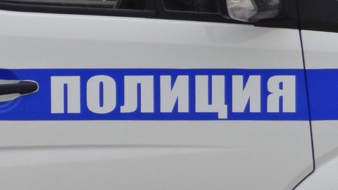Полицейскими Княжпогостского района проводится проверка по факту  нападения собаки на местную женщину